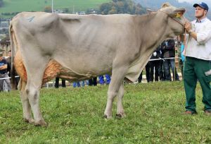 151009ViehschauSarnen 172